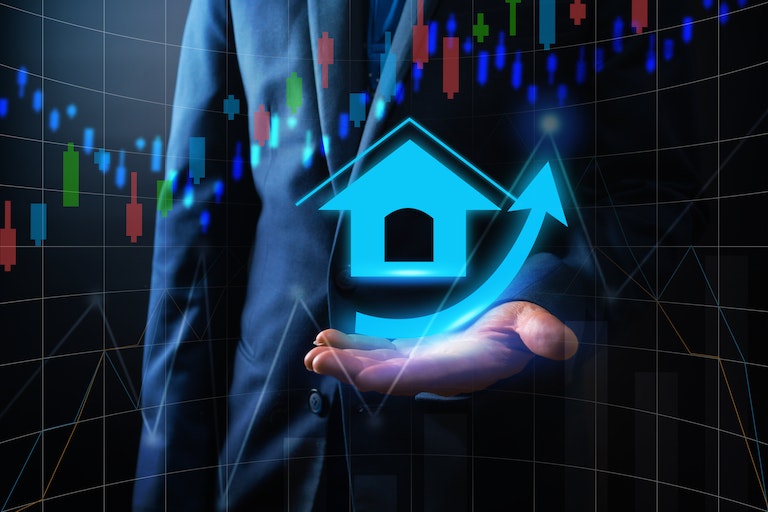 The Importance of Having a Professional Real Estate Investor